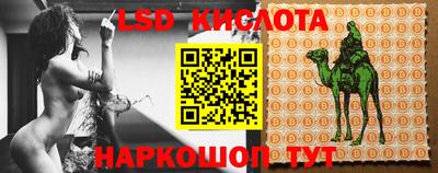 крисы Можга