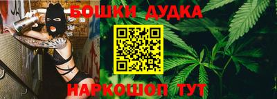 крисы Можга