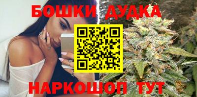 крисы Можга