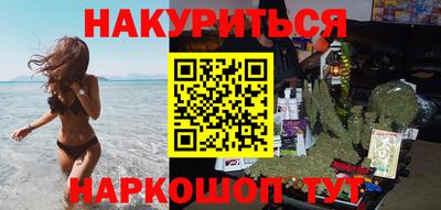 крисы Можга