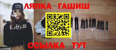 крисы Можга